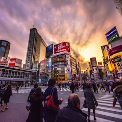 500px Photo ID: 62325271 - The amazing crossing near the Shibuya station