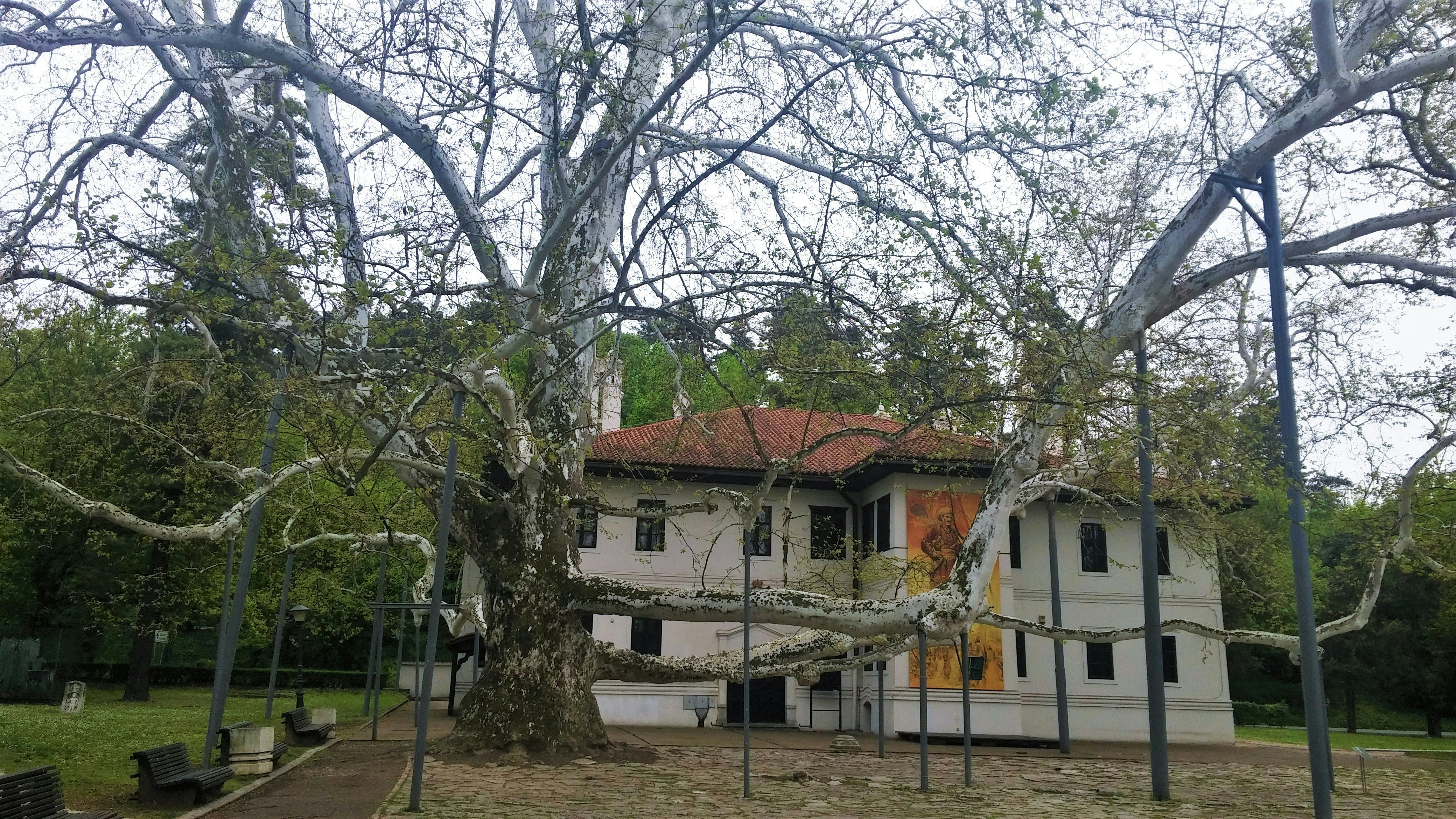 Image of Topčider Park