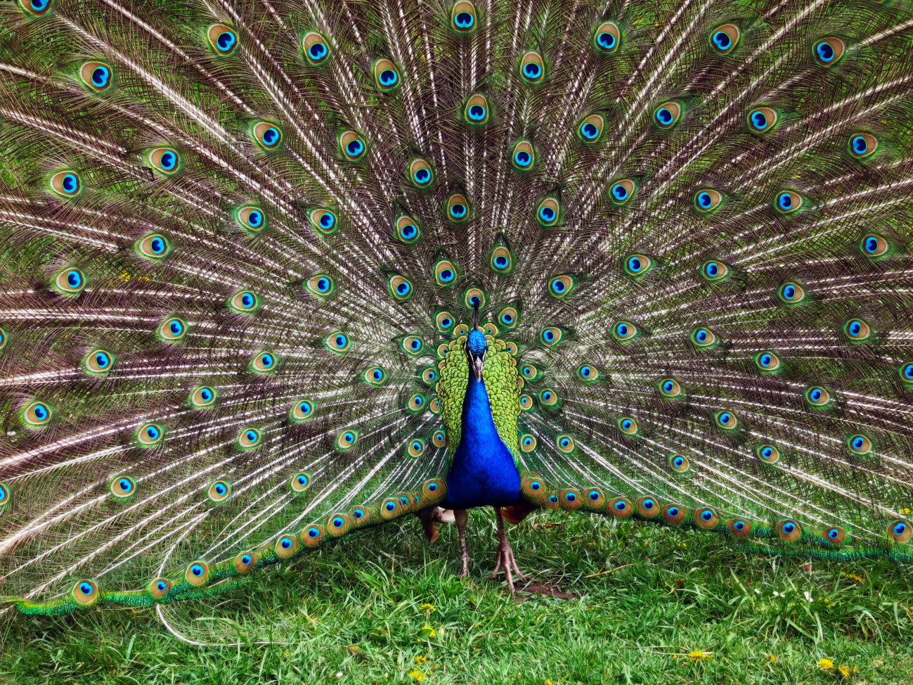 500px Photo ID: 108365865 -