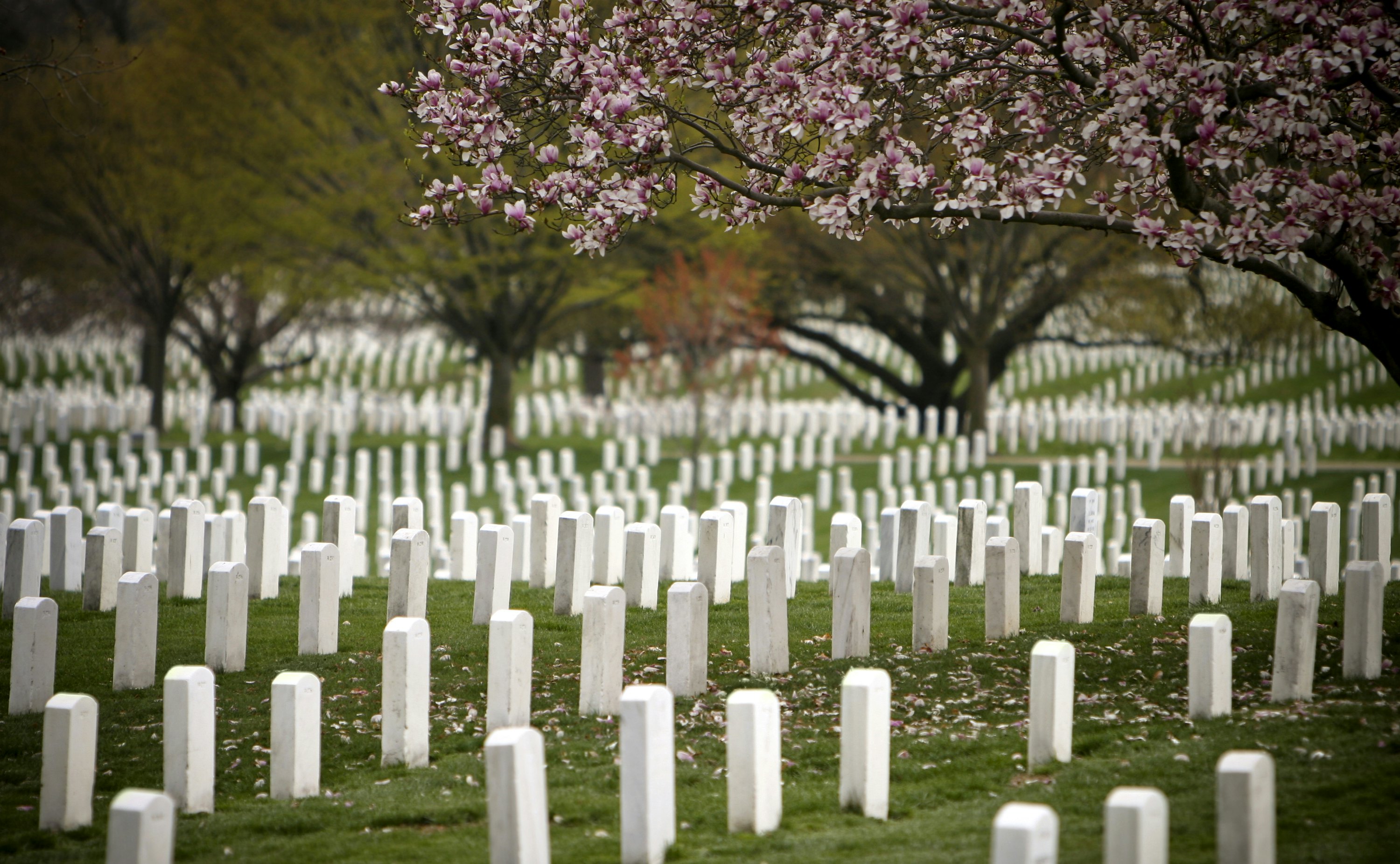arlington national cemetery