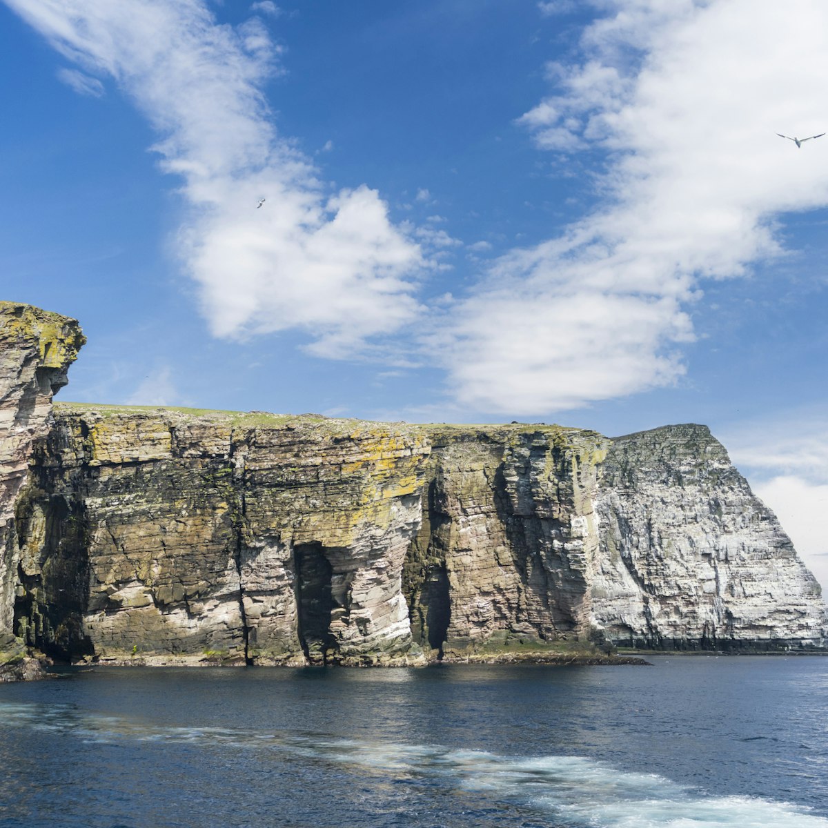 In geography and geology, a cliff is a vertical, or near vertical, rock exposure. Cliffs are formed as erosion landforms due to the processes of erosion and weathering that produce them. Cliffs are common on coasts, in mountainous areas, escarpments and along rivers. Cliffs are usually formed by rock that is resistant to erosion and weathering. Sedimentary rocks most likely to form cliffs include sandstone, limestone, chalk, and dolomite. Igneous rocks such as granite and basalt also often form cliffs.