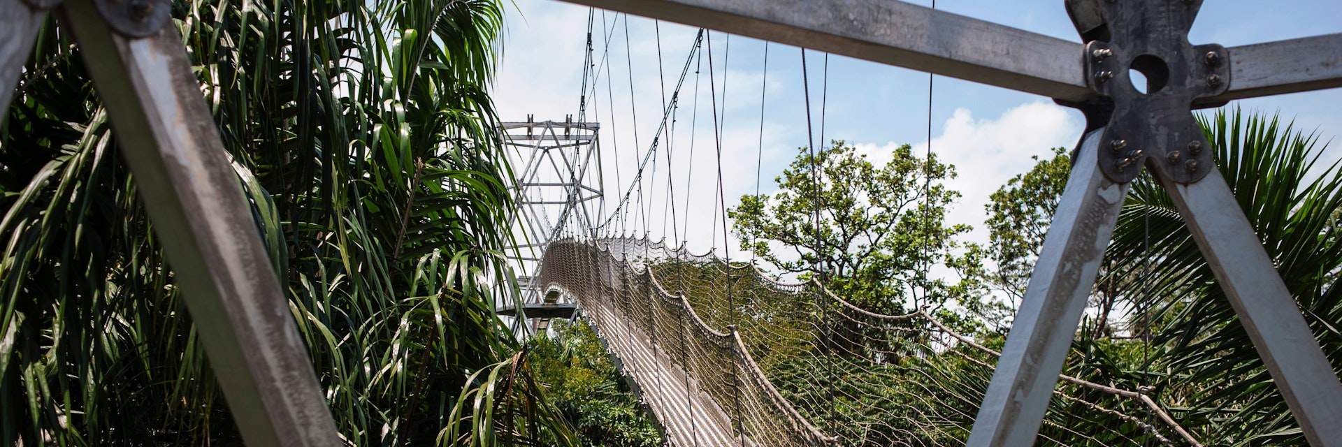 This picture taken on on September 8, 2016 shows the Canopy Walkway bridge, the longest canopy walk in Africa, in the Lekki Conservation Centre in Lagos..Traffic jams may clog the city and the beaches look like garbage dumps, but for the Lagos state government developing tourism is now a do or die matter. / AFP / STEFAN HEUNIS        (Photo credit should read STEFAN HEUNIS/AFP/Getty Images)