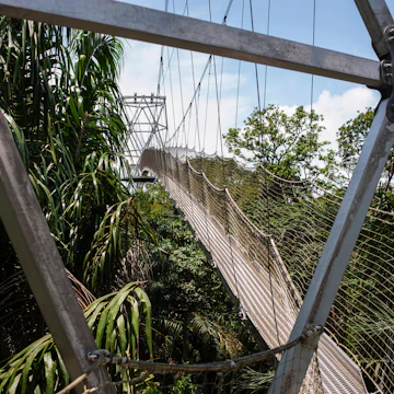 This picture taken on on September 8, 2016 shows the Canopy Walkway bridge, the longest canopy walk in Africa, in the Lekki Conservation Centre in Lagos..Traffic jams may clog the city and the beaches look like garbage dumps, but for the Lagos state government developing tourism is now a do or die matter. / AFP / STEFAN HEUNIS (Photo credit should read STEFAN HEUNIS/AFP/Getty Images)
