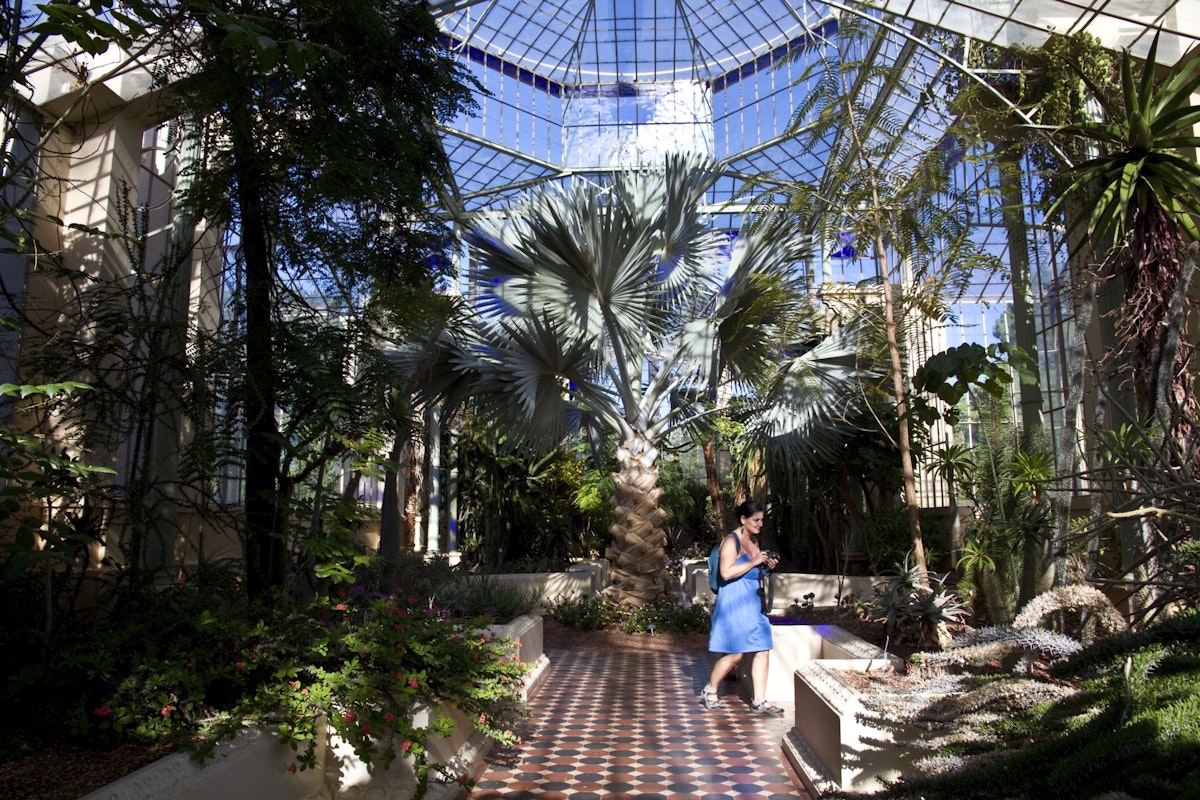 Palm House, Adelaide Botanic Gardens.