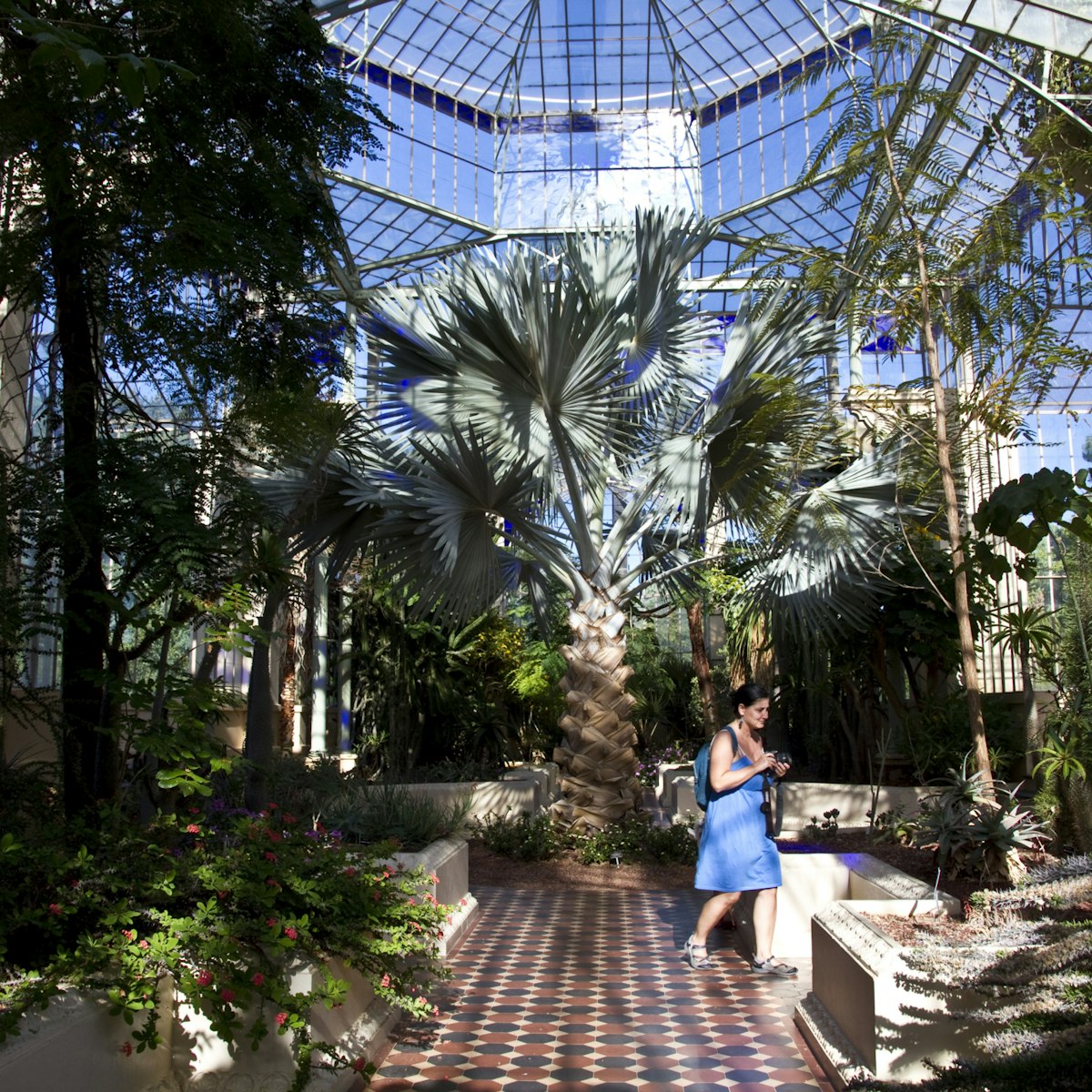 Palm House, Adelaide Botanic Gardens.