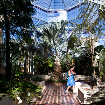 Palm House, Adelaide Botanic Gardens.