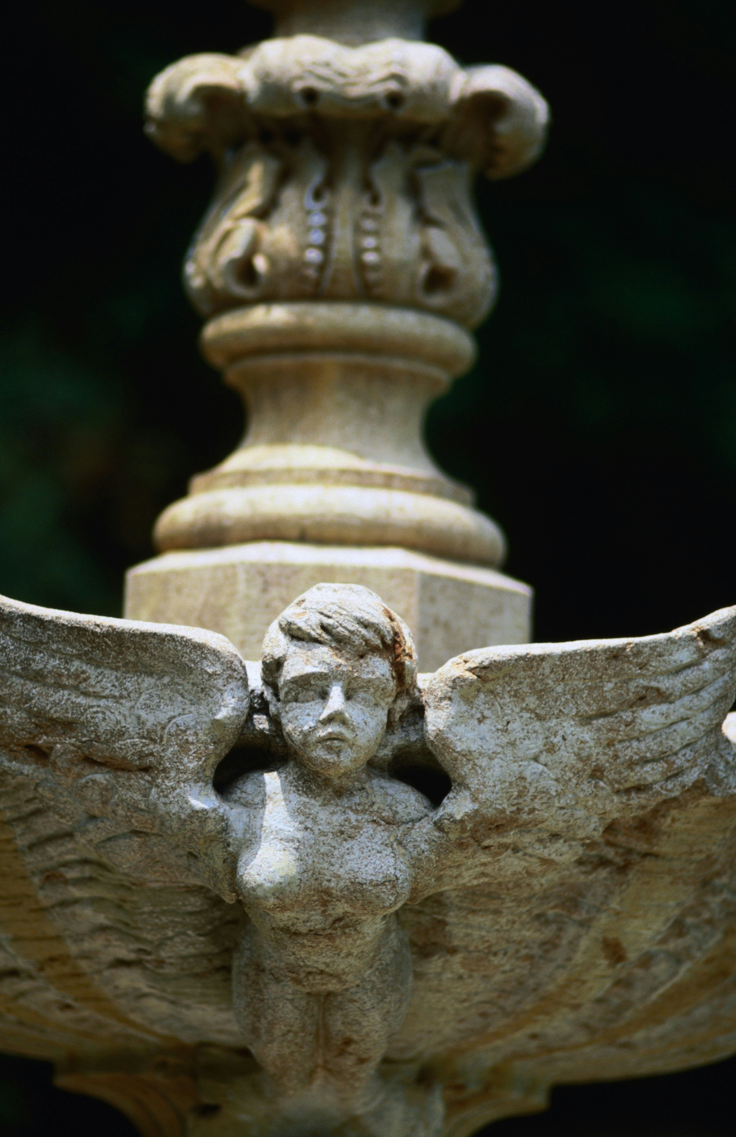 In the grounds of the 20th century Greystone Mansion in Beverly Hills.