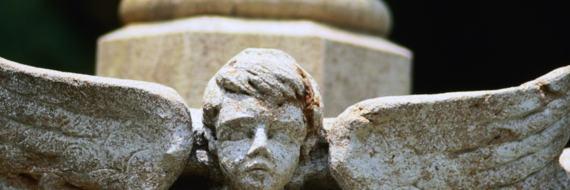In the grounds of the 20th century Greystone Mansion in Beverly Hills.