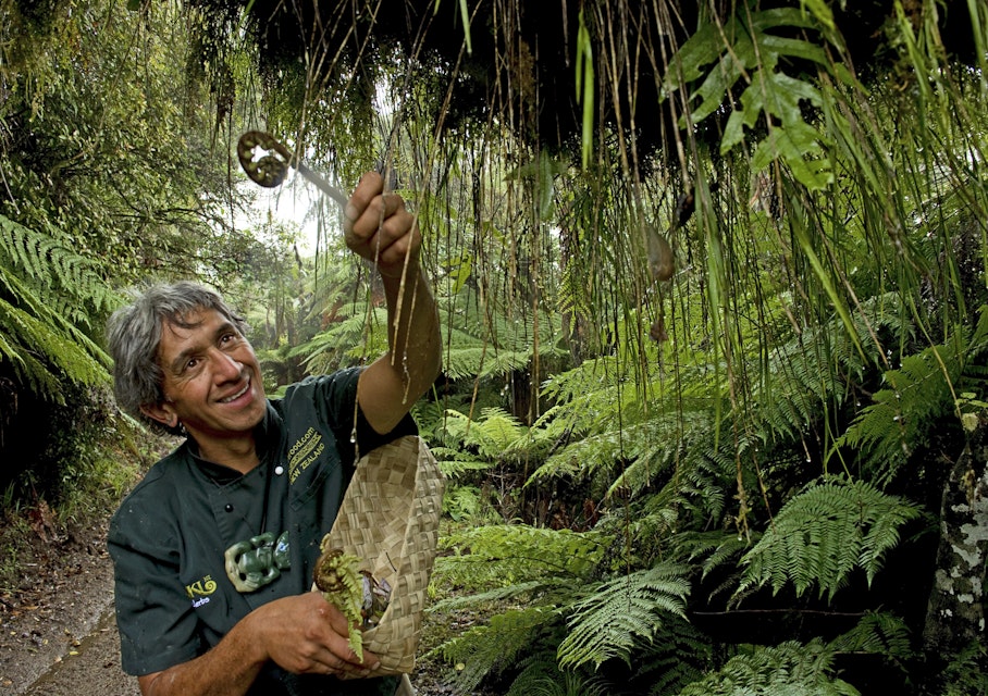 Chef foraging for ‘bush asparagus’ on a Maori food excursion.