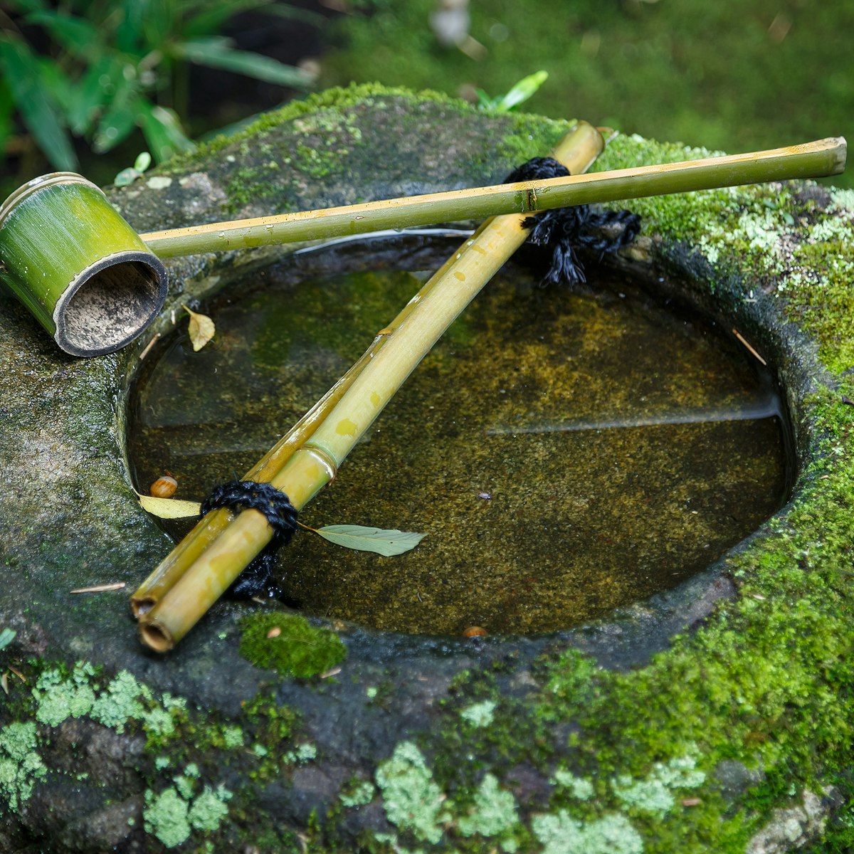 Water dipper on a stone basin in a Japanese Garden