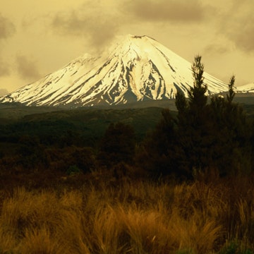 Ngauruhoe volcano  (2291m) on edge of Tongariro massif.