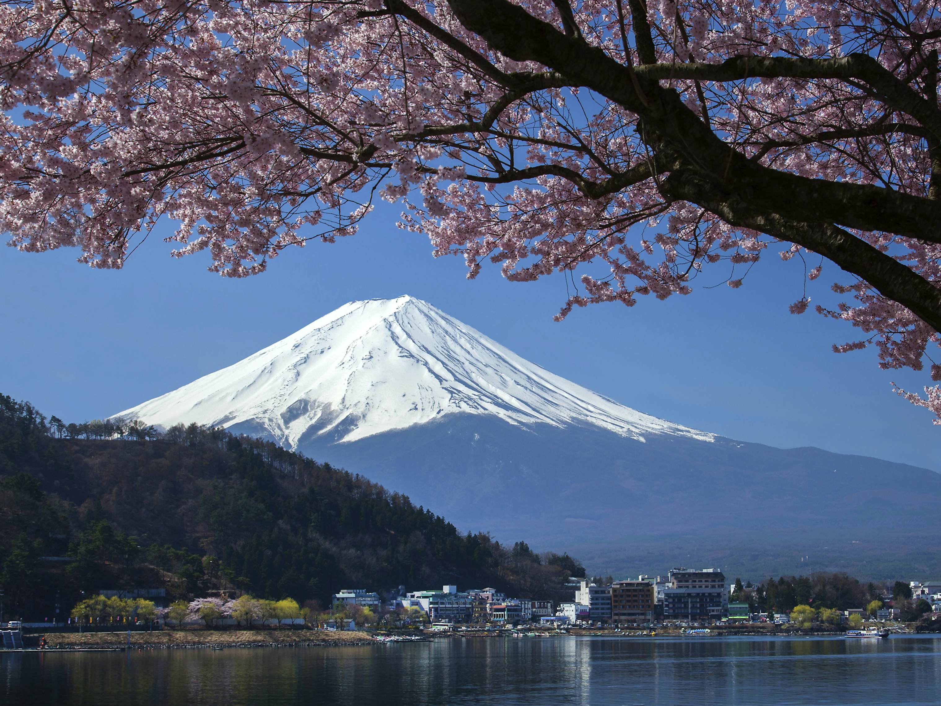 places to visit in japan lonely planet