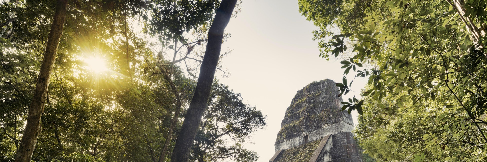 Built around 700 AD, the 57 metre high pyramid of Temple V in Tikal was one of the tallest and most voluminous buildings in the Maya world.