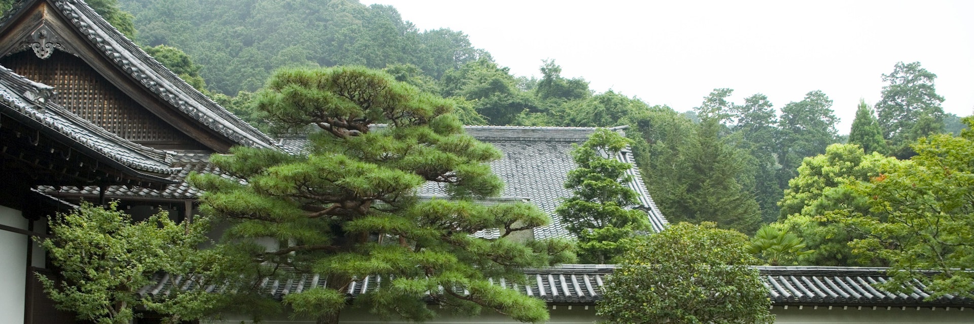Leaping Tiger Garden at Nanzen-ji Temple.