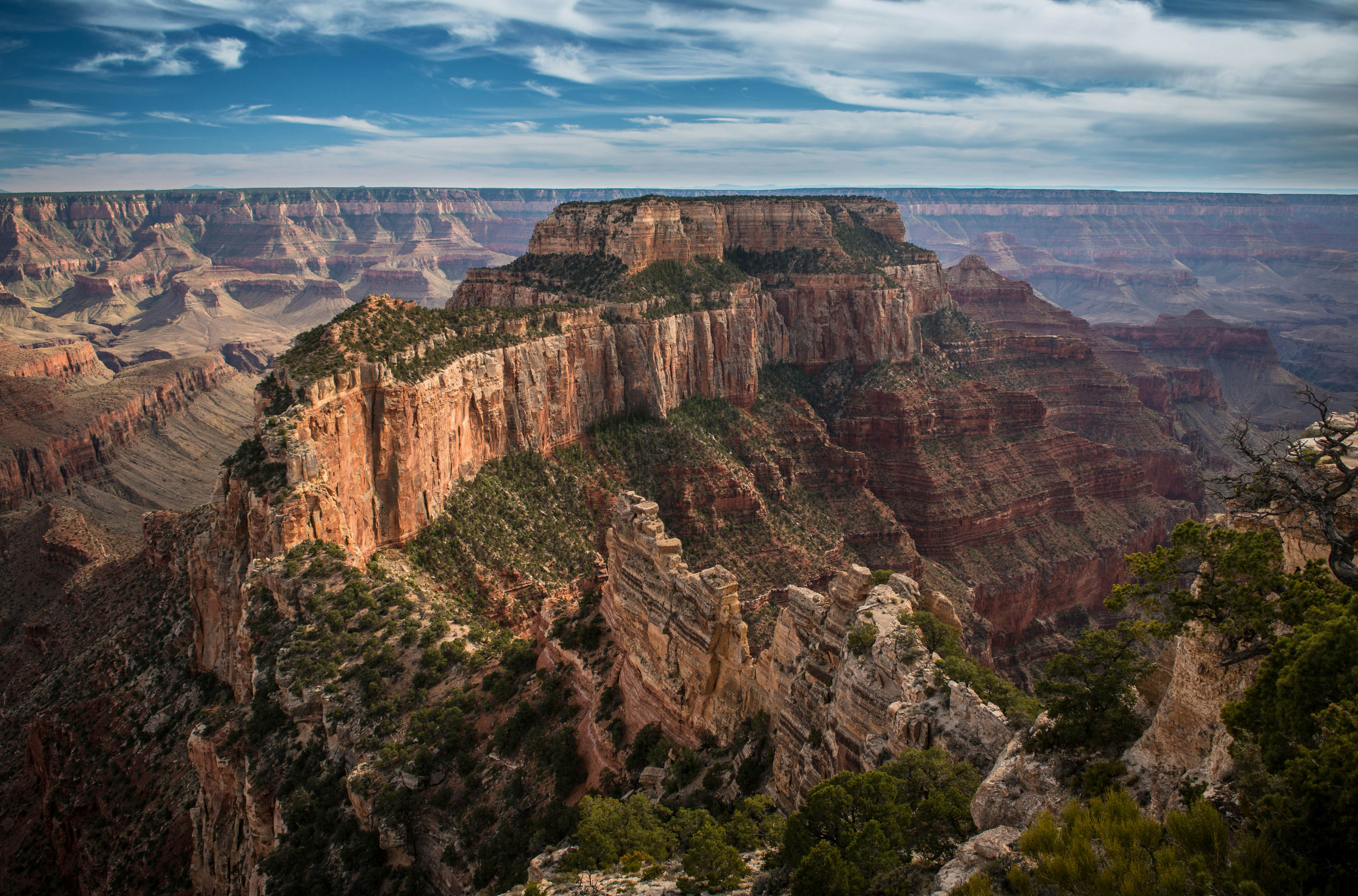 Grand Canyon National Park North Rim travel  The Southwest, USA - Lonely Planet