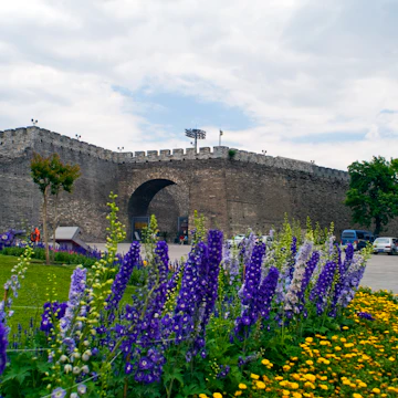 Southeast Corner Watchtower, with purple flowers in foreground.