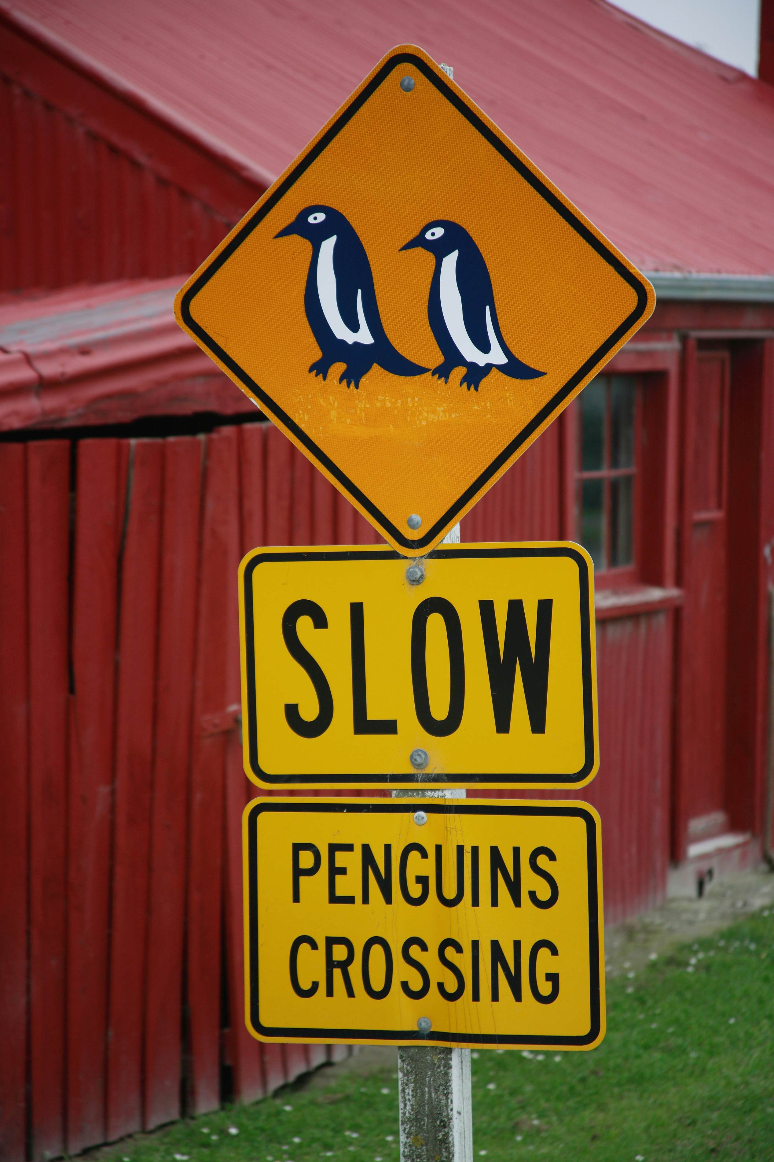 Pengiuns crossing sign, Oamaru, New Zealand