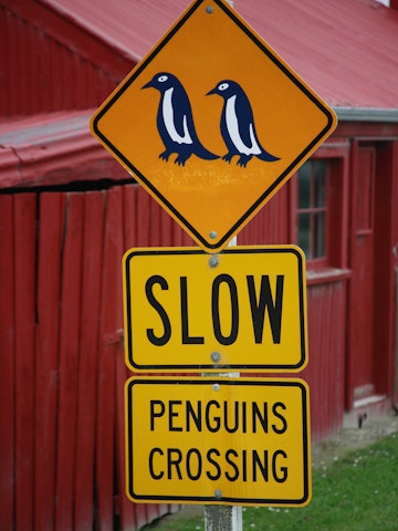 Pengiuns crossing sign, Oamaru, New Zealand