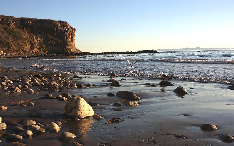 Abalone Cove Shoreline Park