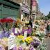 Sunday flower market, Columbia Road, London, England, United Kingdom, Europe
