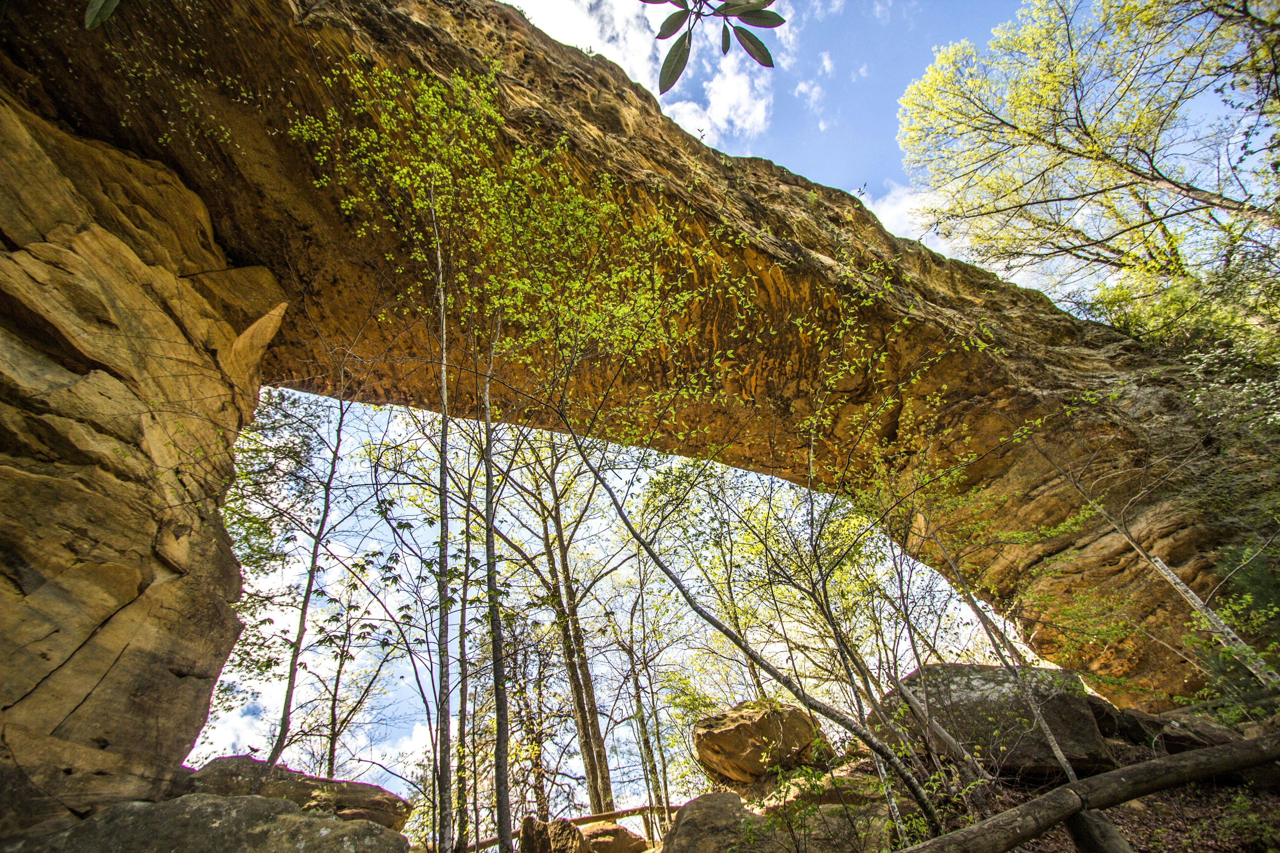 Image of Natural Bridge State Resort Park