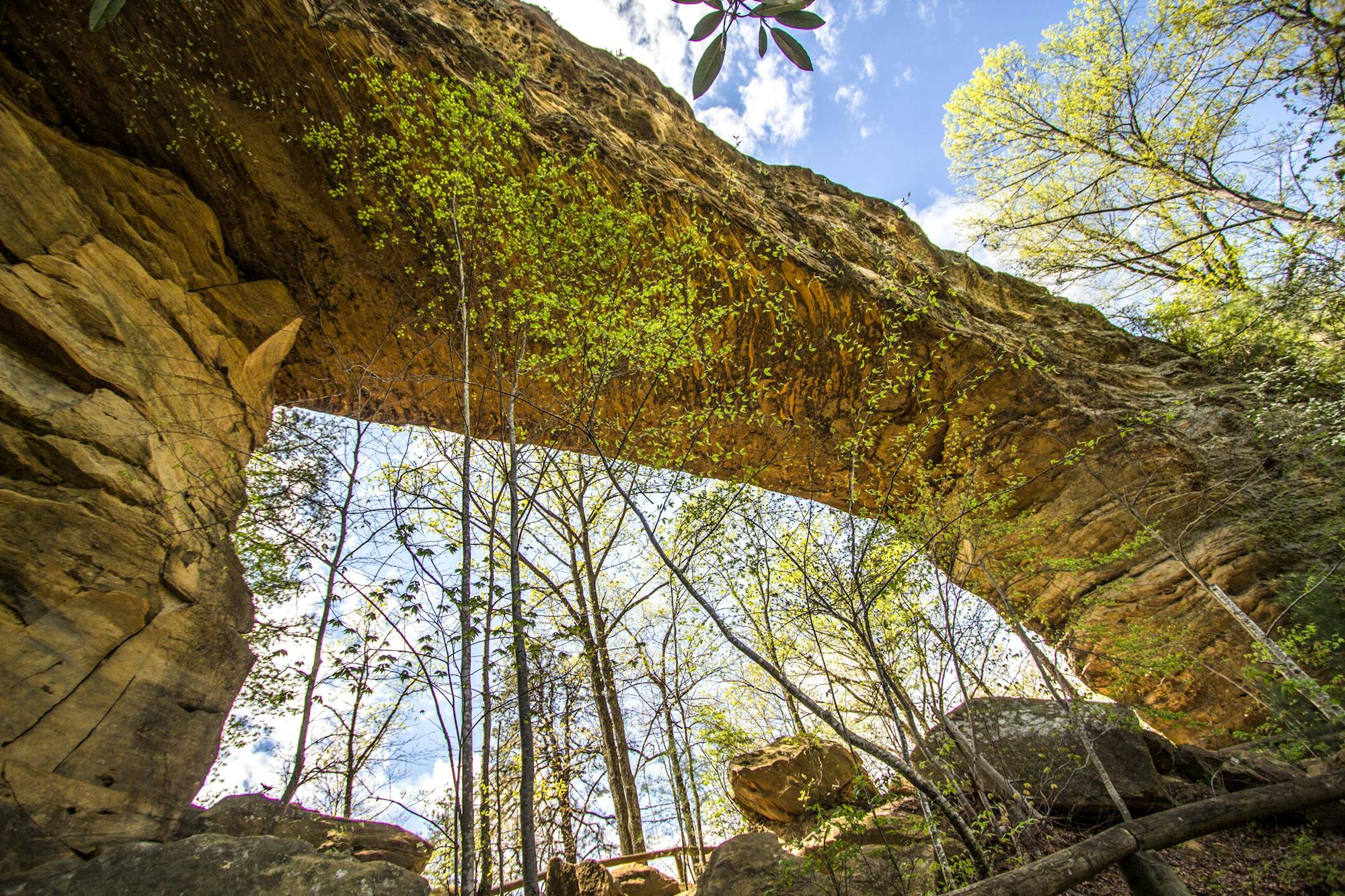 Natural Bridge State Resort Park | | Attractions - Lonely Planet