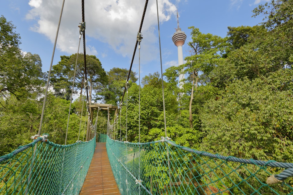 Canopy walkway at Hutan Lipur Bukit Nanas