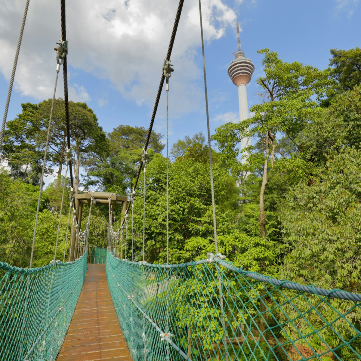 Canopy walkway at Hutan Lipur Bukit Nanas