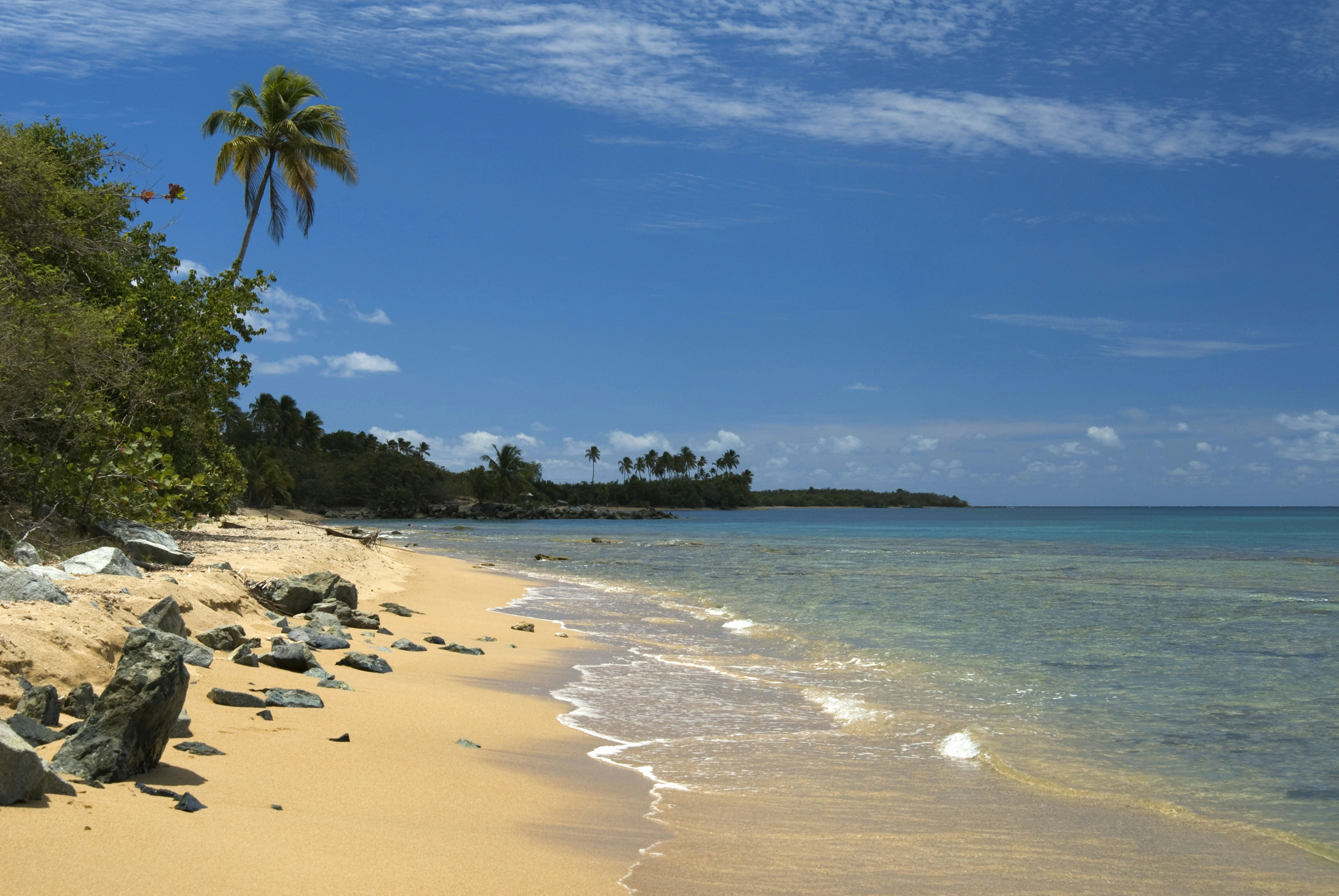 PUERTO RICO, Vieques Island. Green Beach