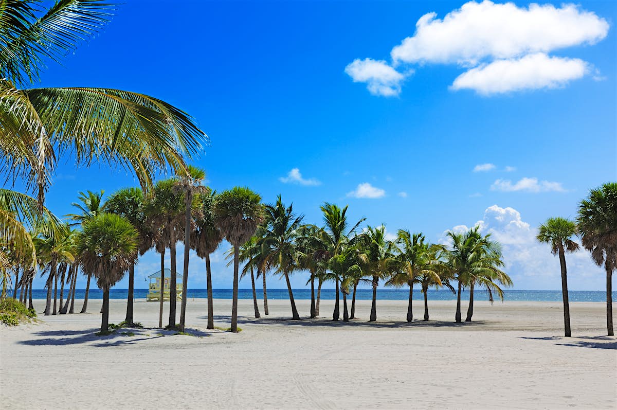 Web crandon park mahogany grove group picnic area is a great place for a family or company picnic. Crandon Park Miami, USA Attractions Lonely