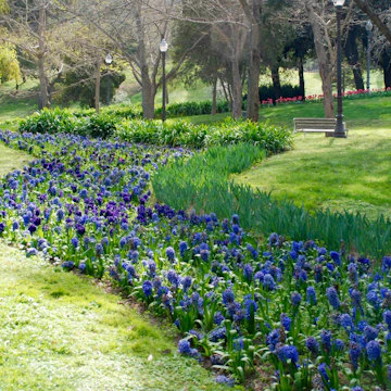 Views of Jardins de Mossèn Cinto de Verdaguer