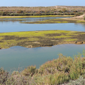 Ria Formosa, Quinta do Lago