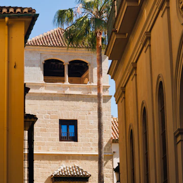 buenavista palace which houses the picasso museum