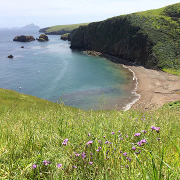 Santa Cruz Island