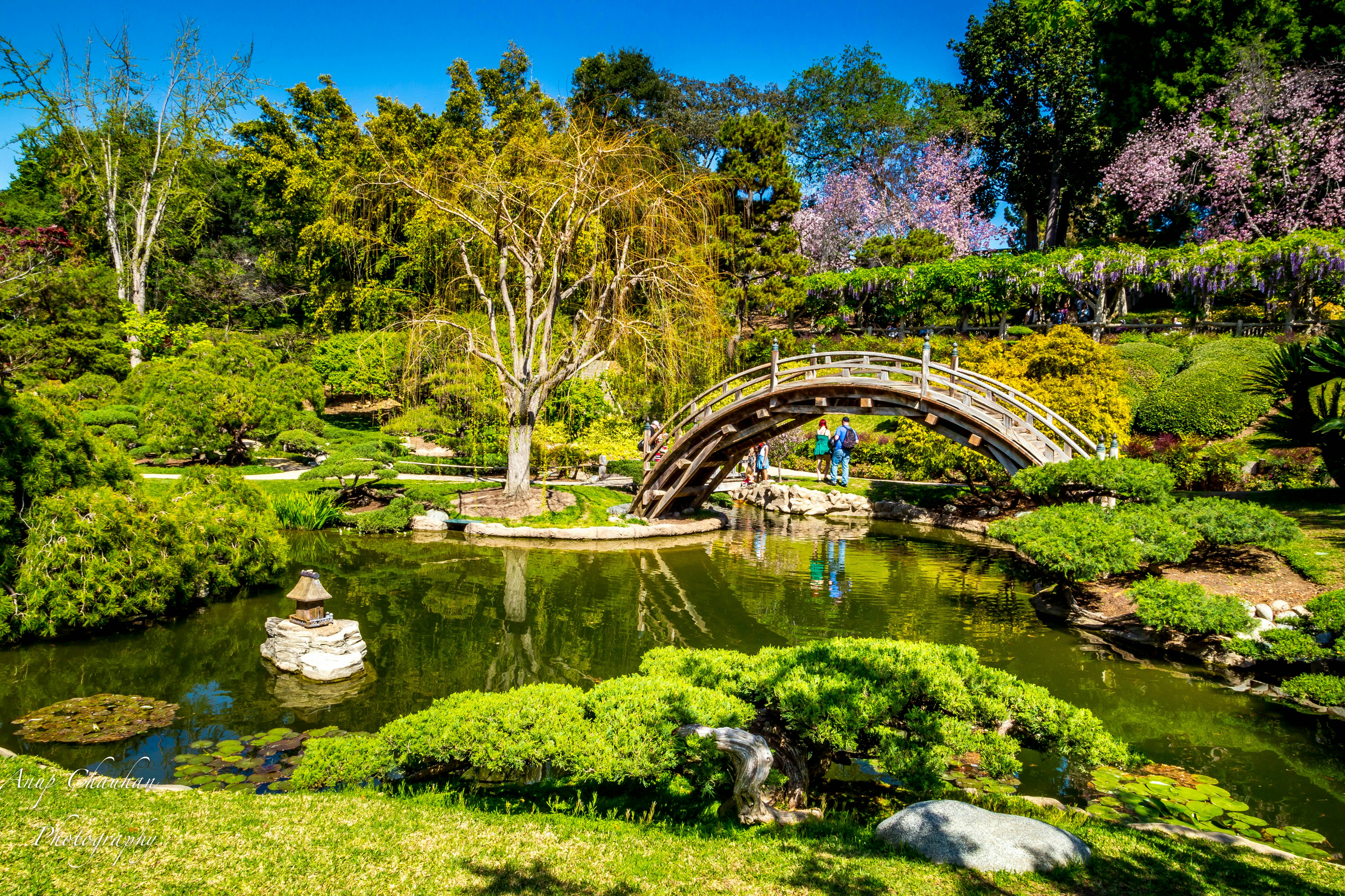 500px Photo ID: 77626027 - Japanese Garden at The Huntington Botanical Gardens and Library