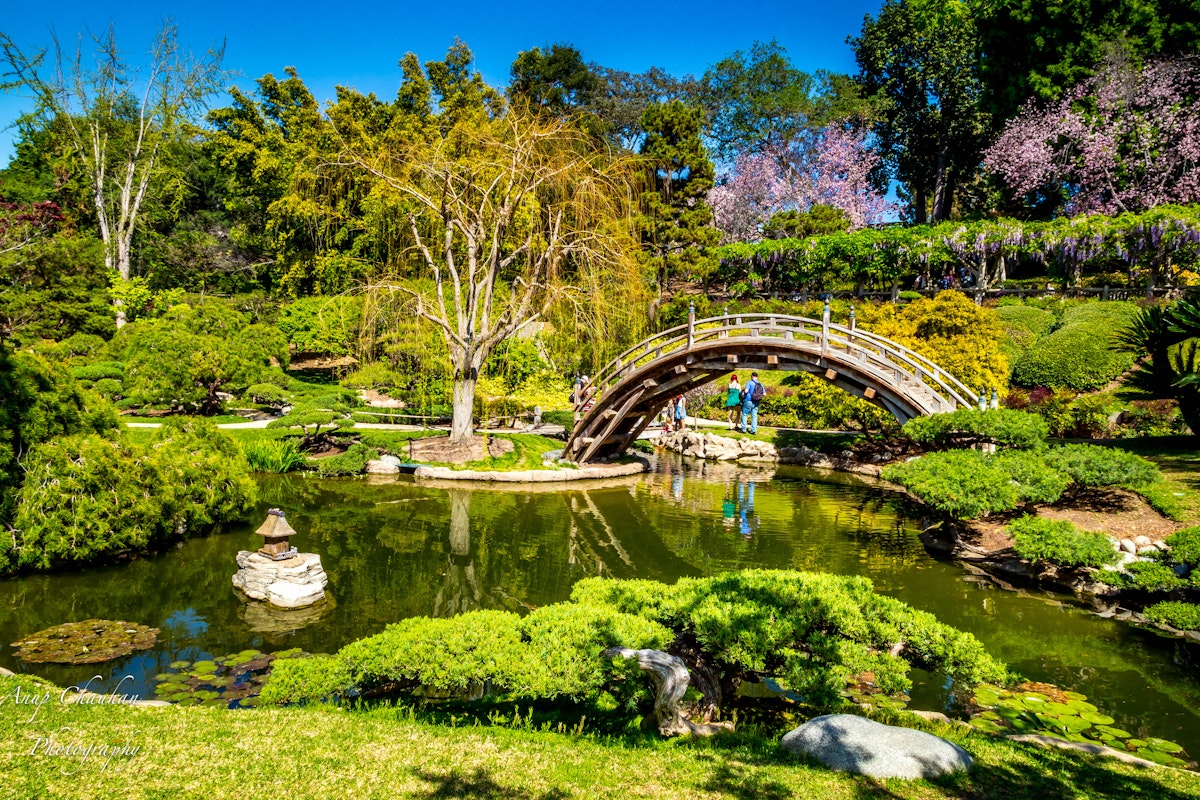500px Photo ID: 77626027 - Japanese Garden at The Huntington Botanical Gardens and Library