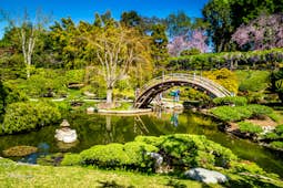 Top Things To Do In Los Angeles Usa Lonely Planet