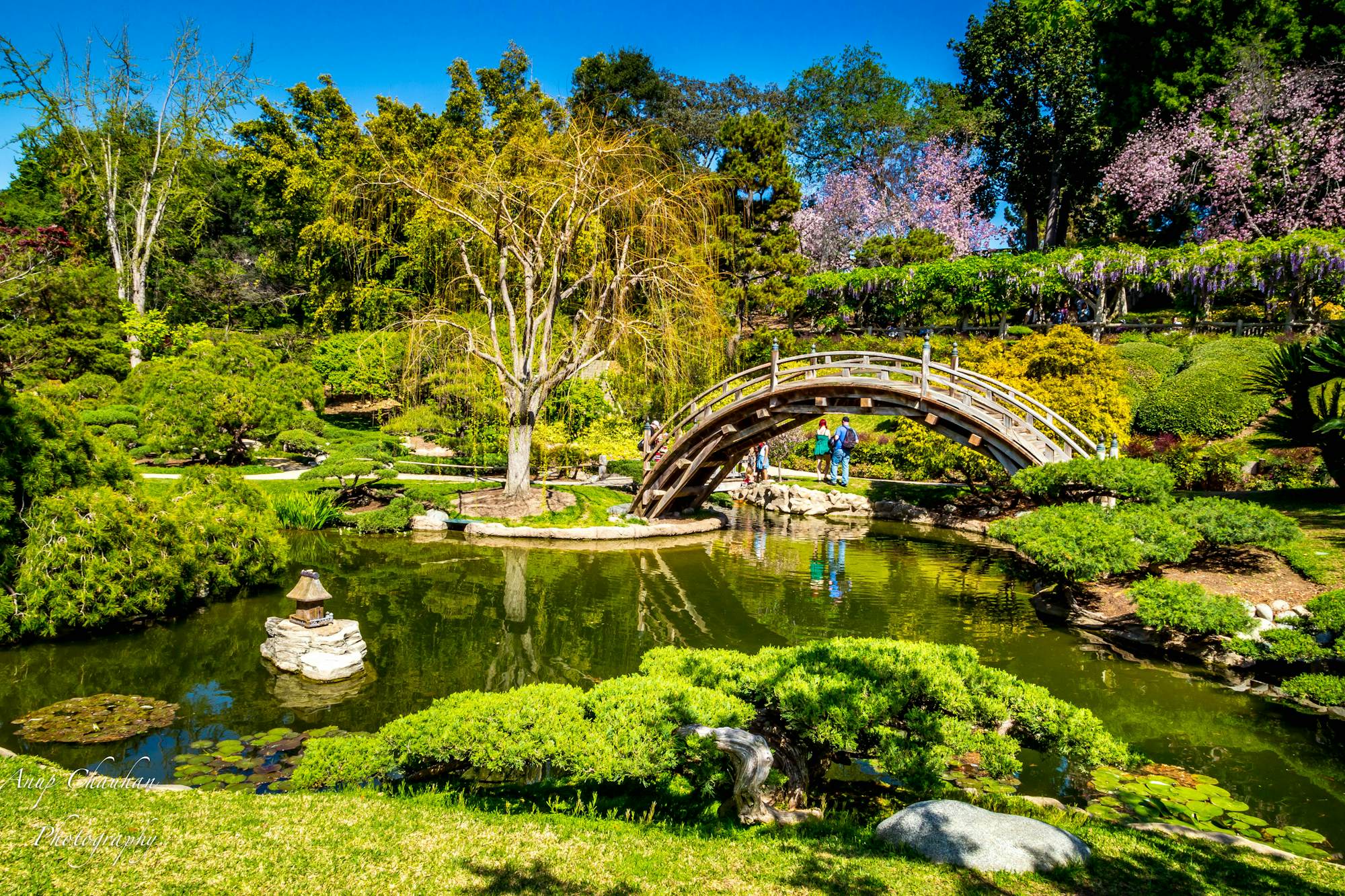 are dogs allowed at huntington gardens