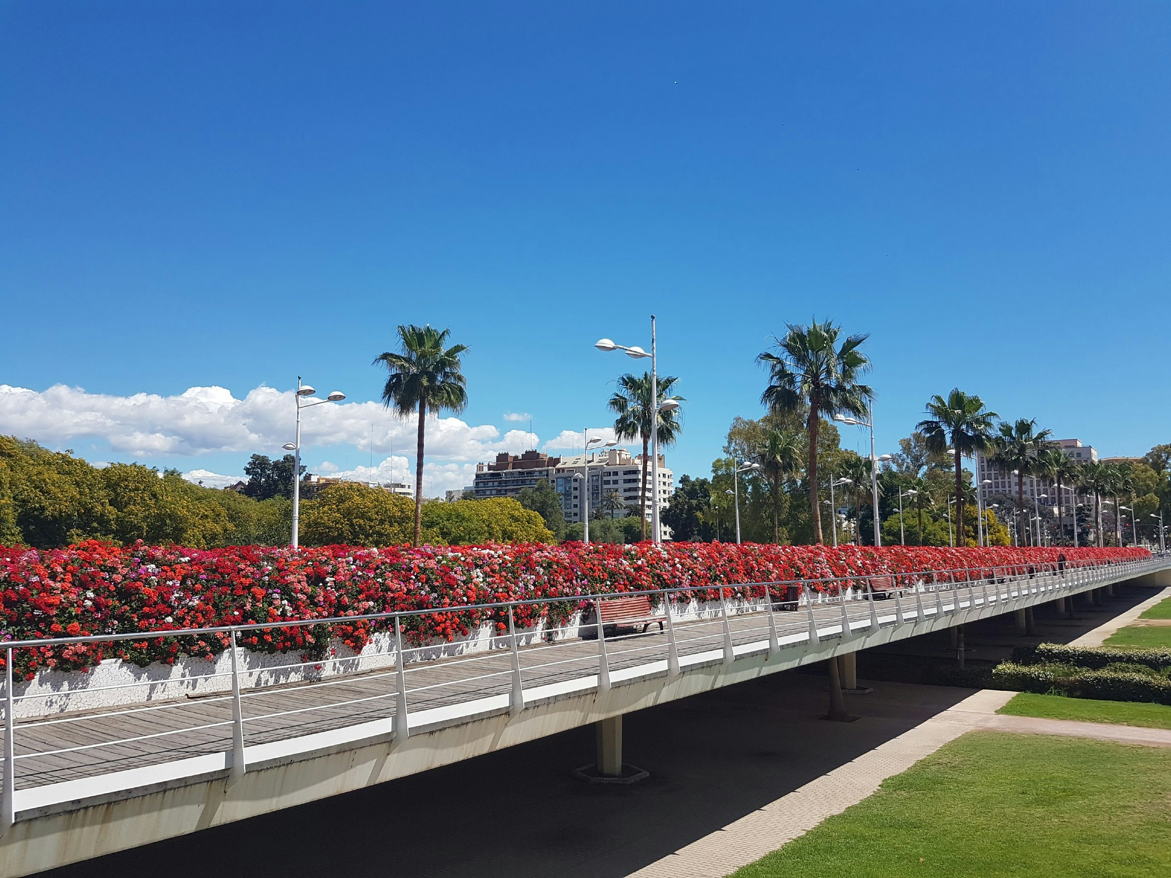 Puente de las Flores view from Plaza d'America.