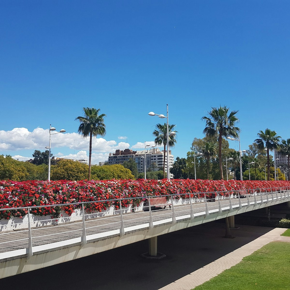 Puente de las Flores view from Plaza d'America.