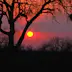 African sunset, Kruger National Park.