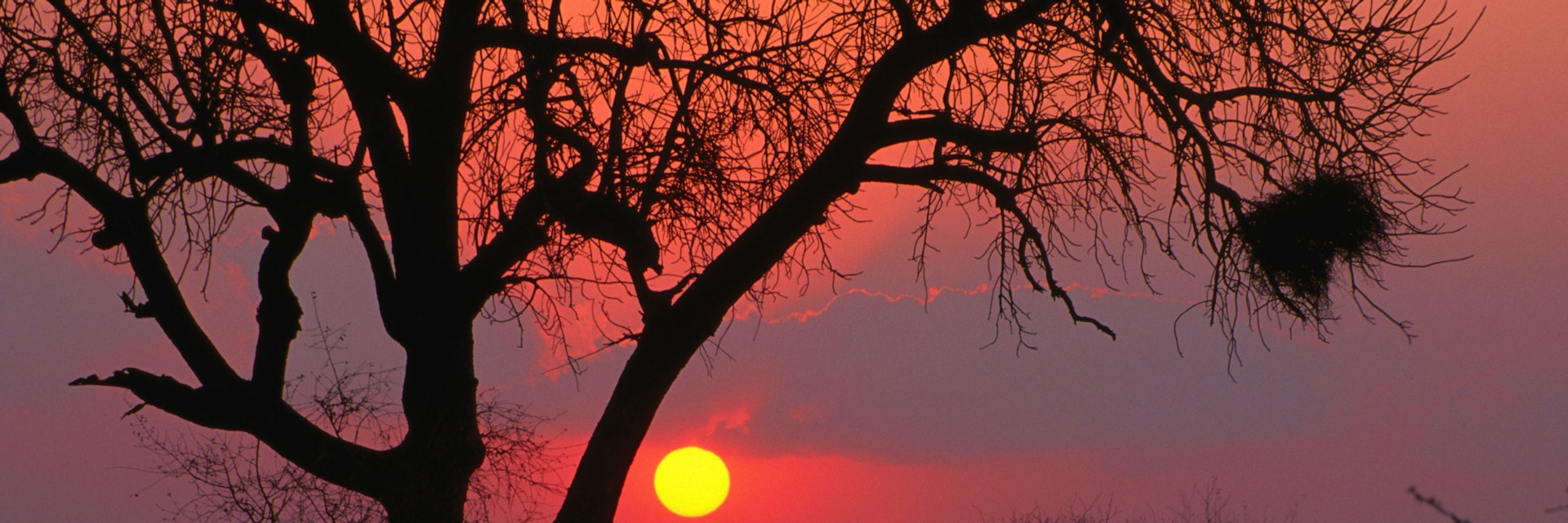 African sunset, Kruger National Park.