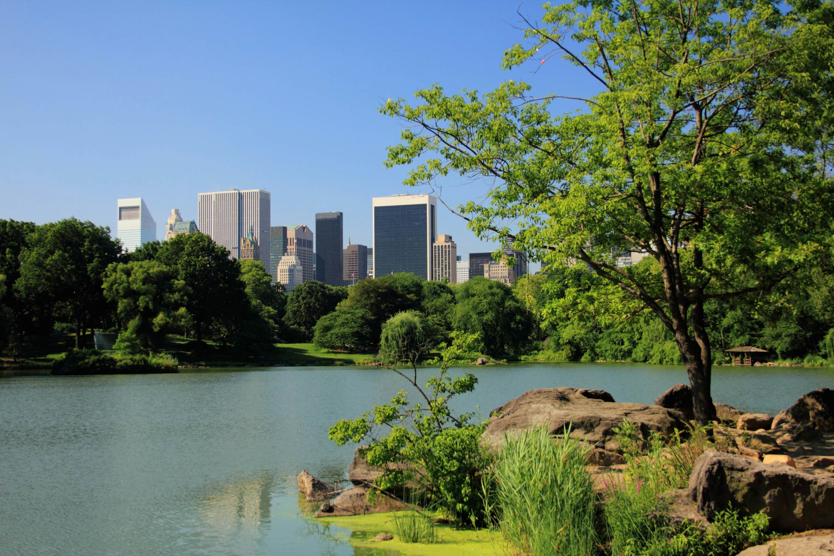 Central Park New York Tourist Attractions