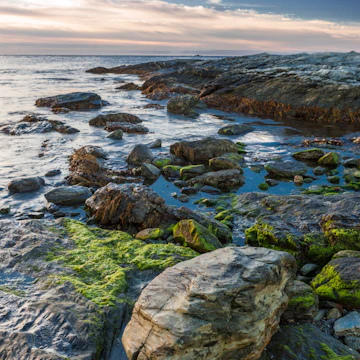 Brenton Point State Park