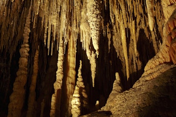 Stalactites, Newdegate Cave, Hastings Caves, Southern Tasmania, Australia