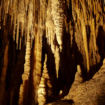 Stalactites, Newdegate Cave, Hastings Caves, Southern Tasmania, Australia