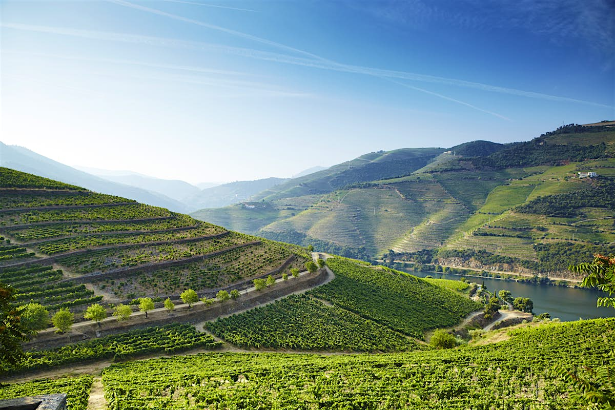 The Douro travel | Portugal - Lonely Planet