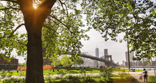 Brooklyn Bridge Park