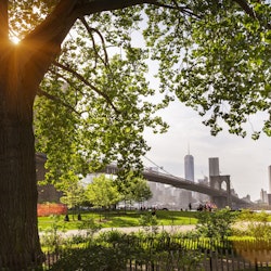 nyc must visit