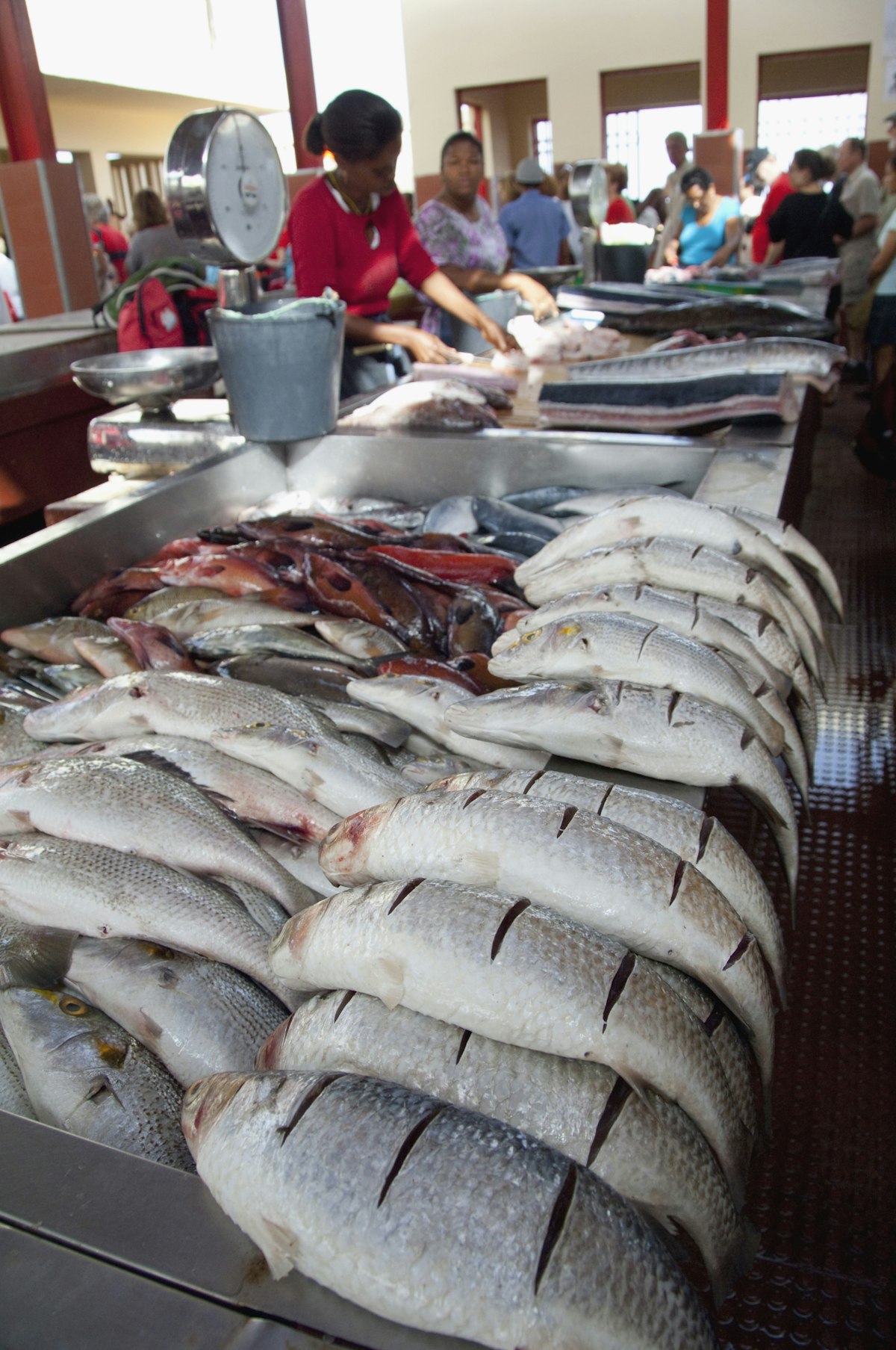 Fish on downtown fish market, Mindelo, Sao Vicente, Cape Verde Islands